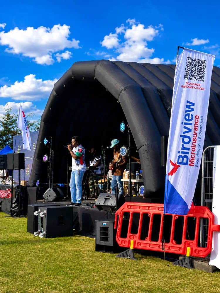 Birdview Microinsurance Sponsors Kenyans in Reading Fun Day in the UK
