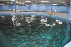 Water quality maintenance coverage