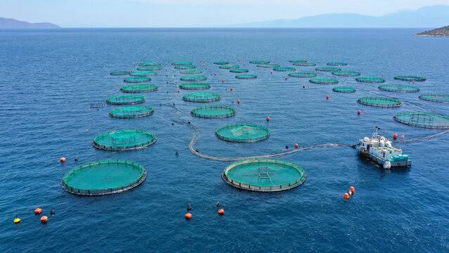 Infrastructure protection for cages and nets